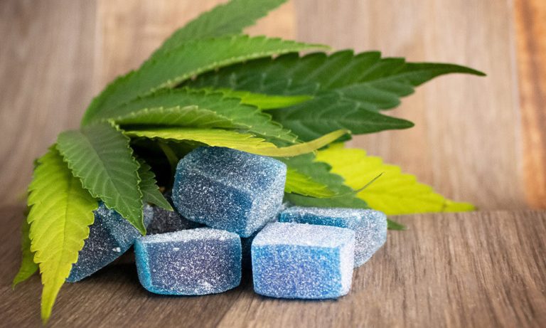 The Science Behind Delta-9 Edibles: Exploring the CBD-Infused Confectionary