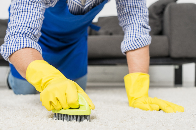 How do Professional Carpet Cleaners Assess Individual Customer Requirements in Gawler?